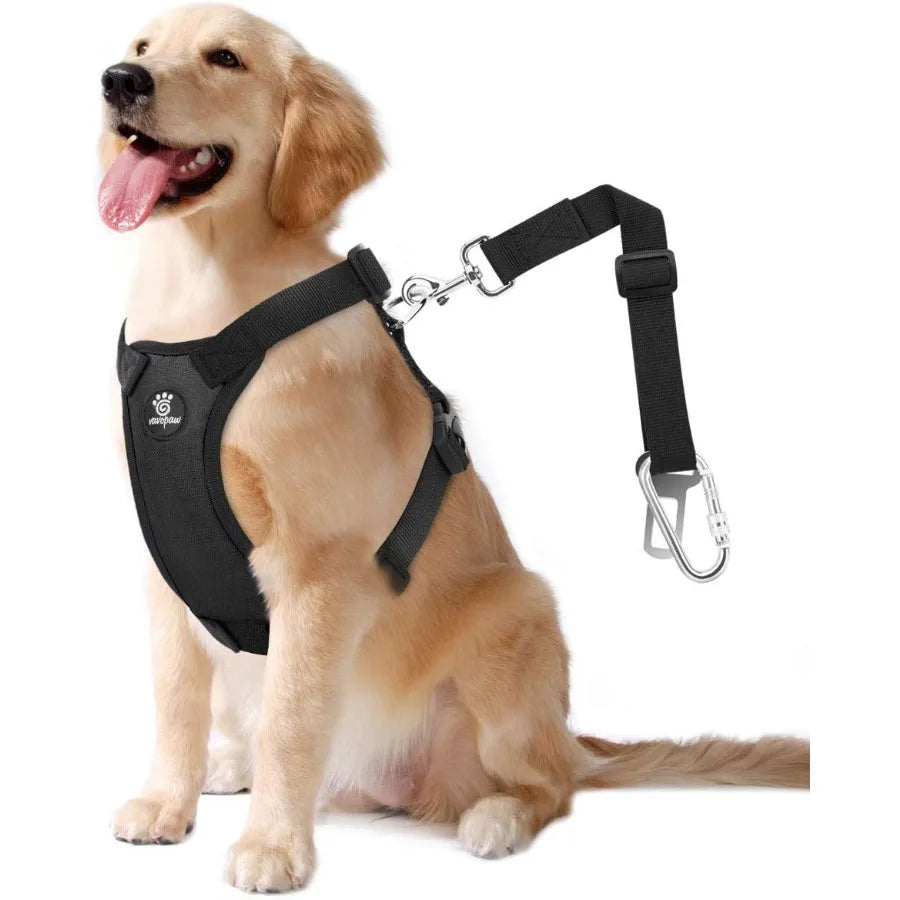 Dog Seat Belt Vest