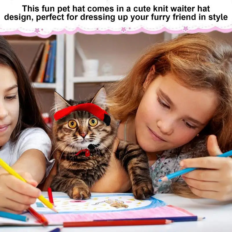 Cat Hat Knitted Beanie