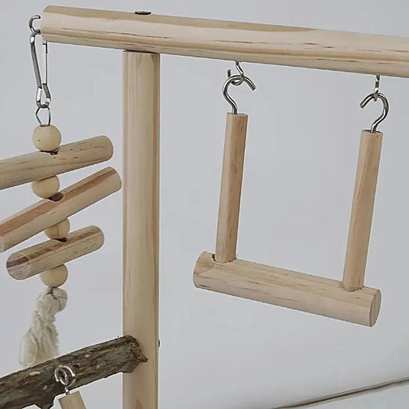 Parakeet Playground
