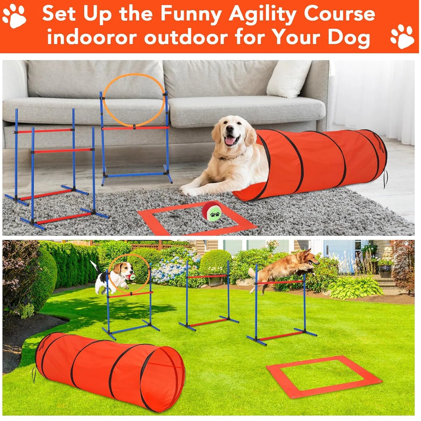 Dog Agility Training Obstacle Course Set