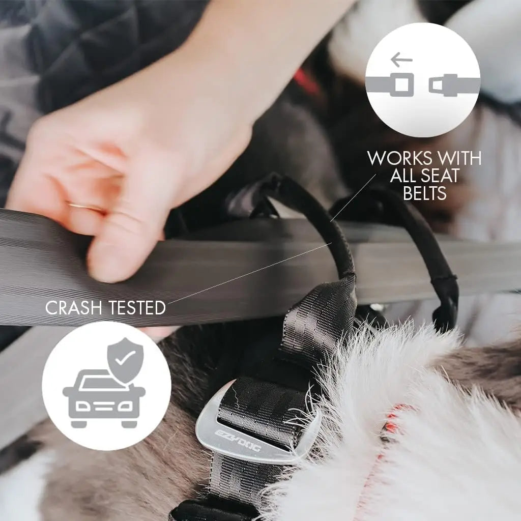 Certified Dog Car Harness