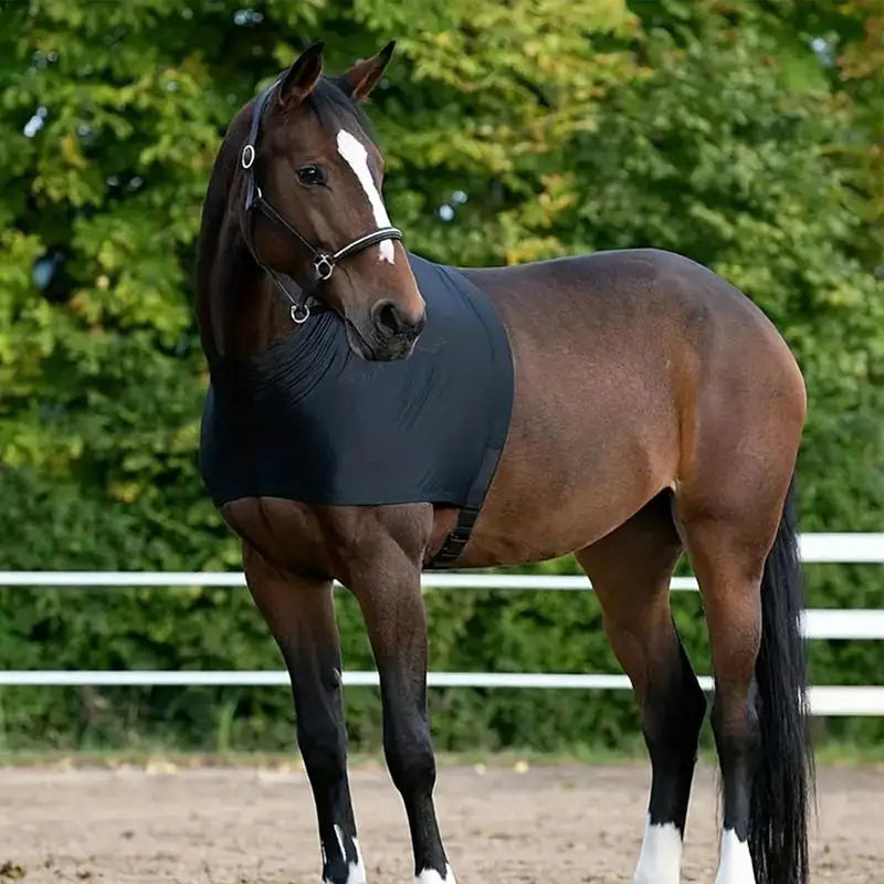 Horse Neck Cover