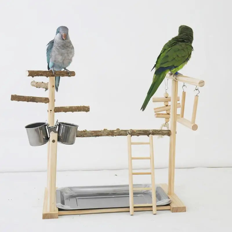 Parakeet Playground