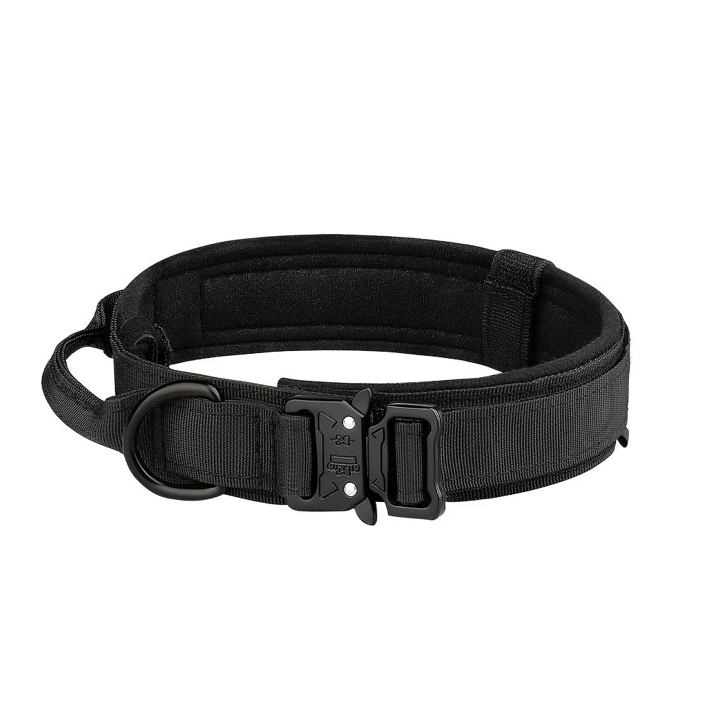 Dog Training Collar