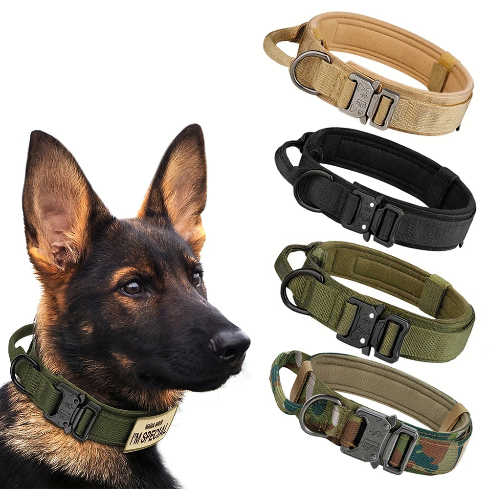 Dog Training Collar