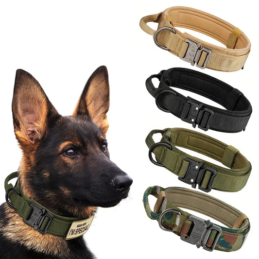 Dog Training Collar