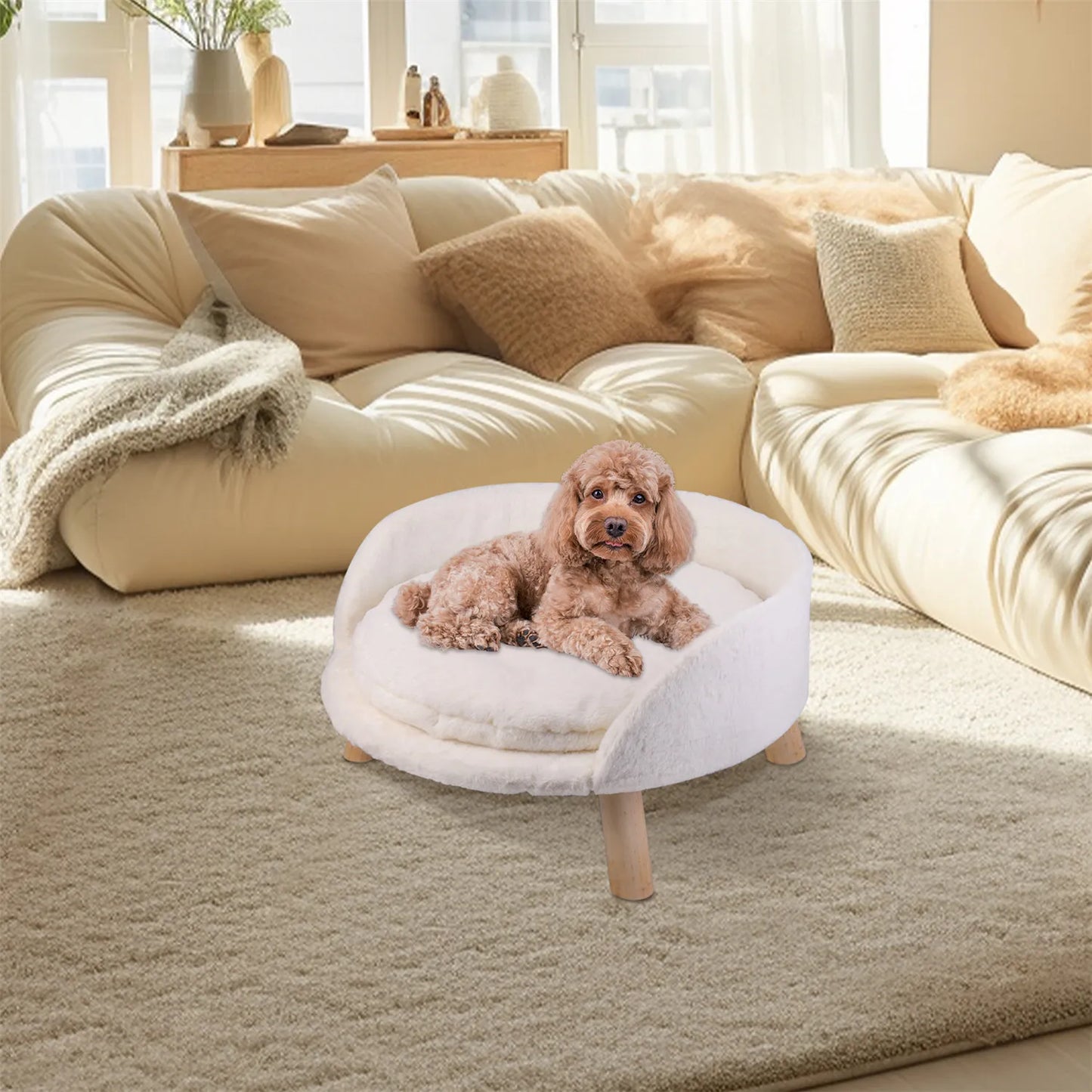 Small Pet Couch
