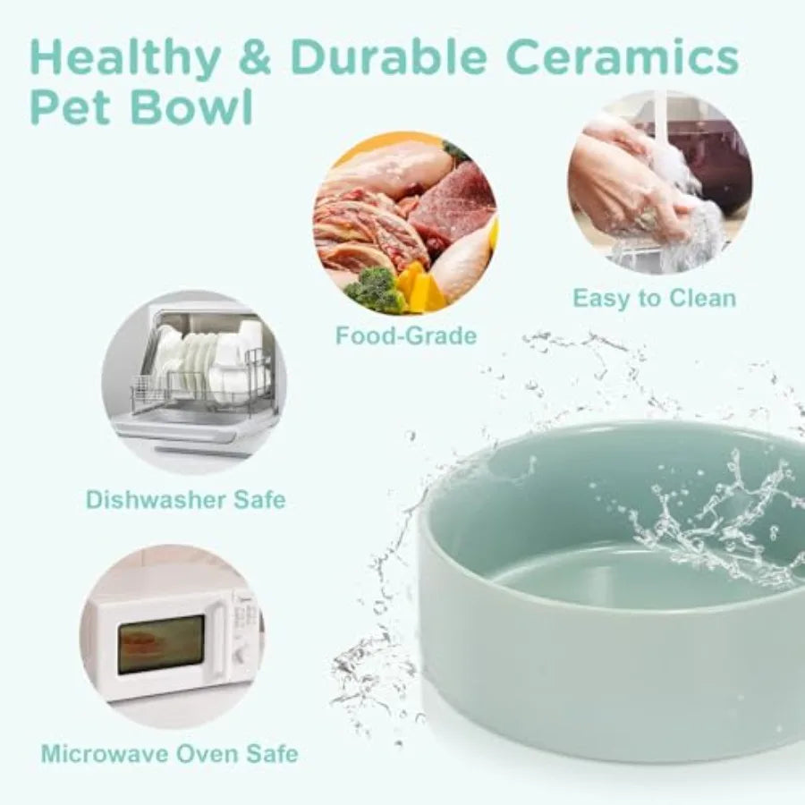 Elevated Ceramic Dog Bowls