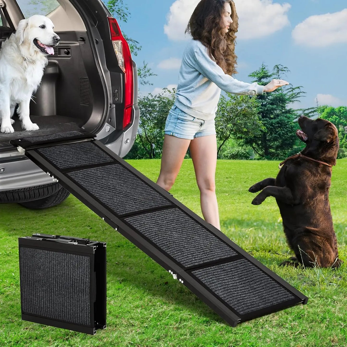 Dog Ramp For Cars