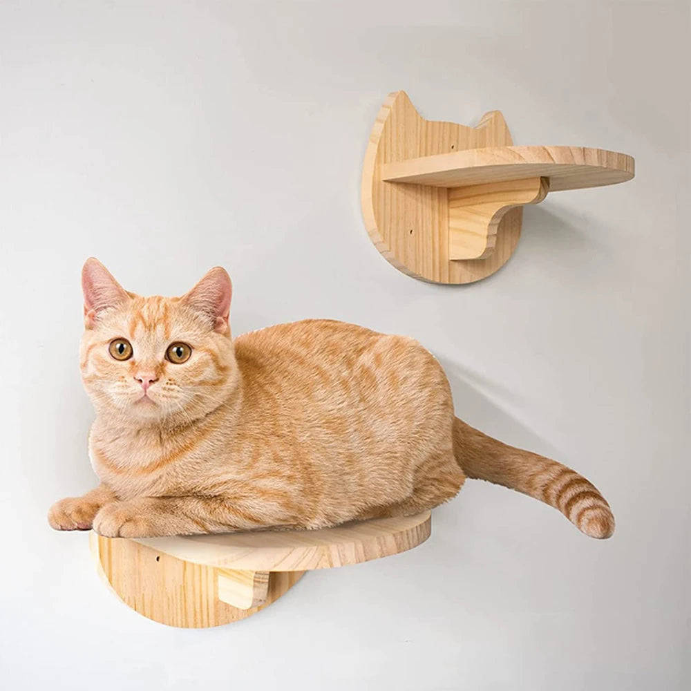 Cat Wall Mounted Furniture