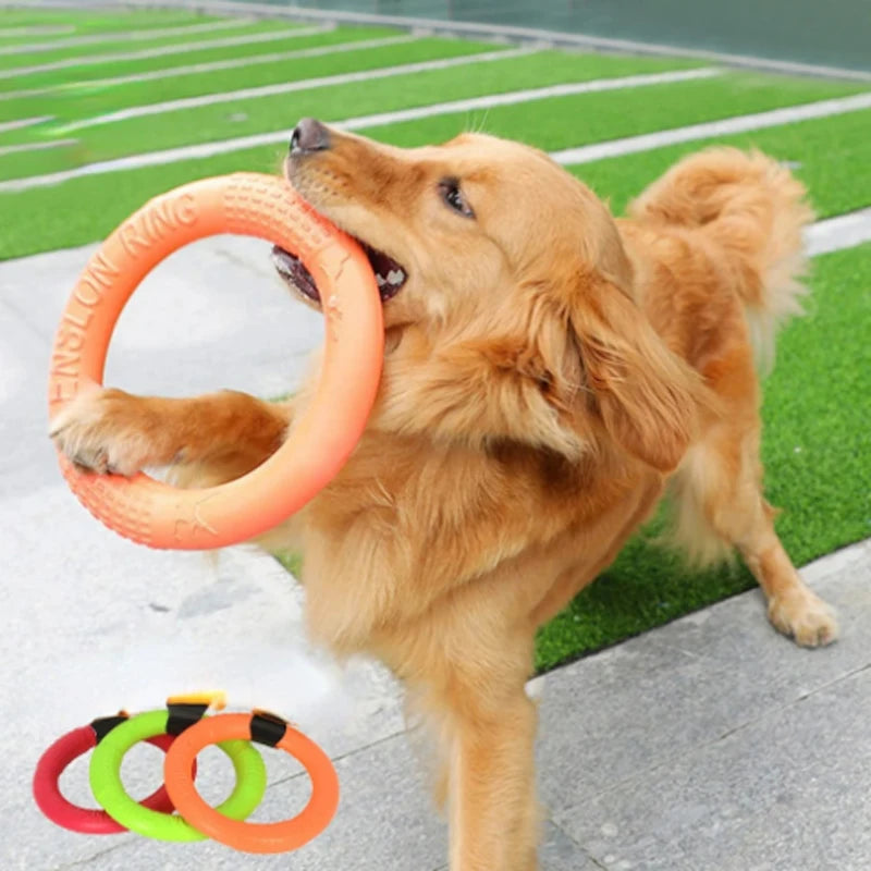 Orange Dog Pet Flying Disk Training Ring