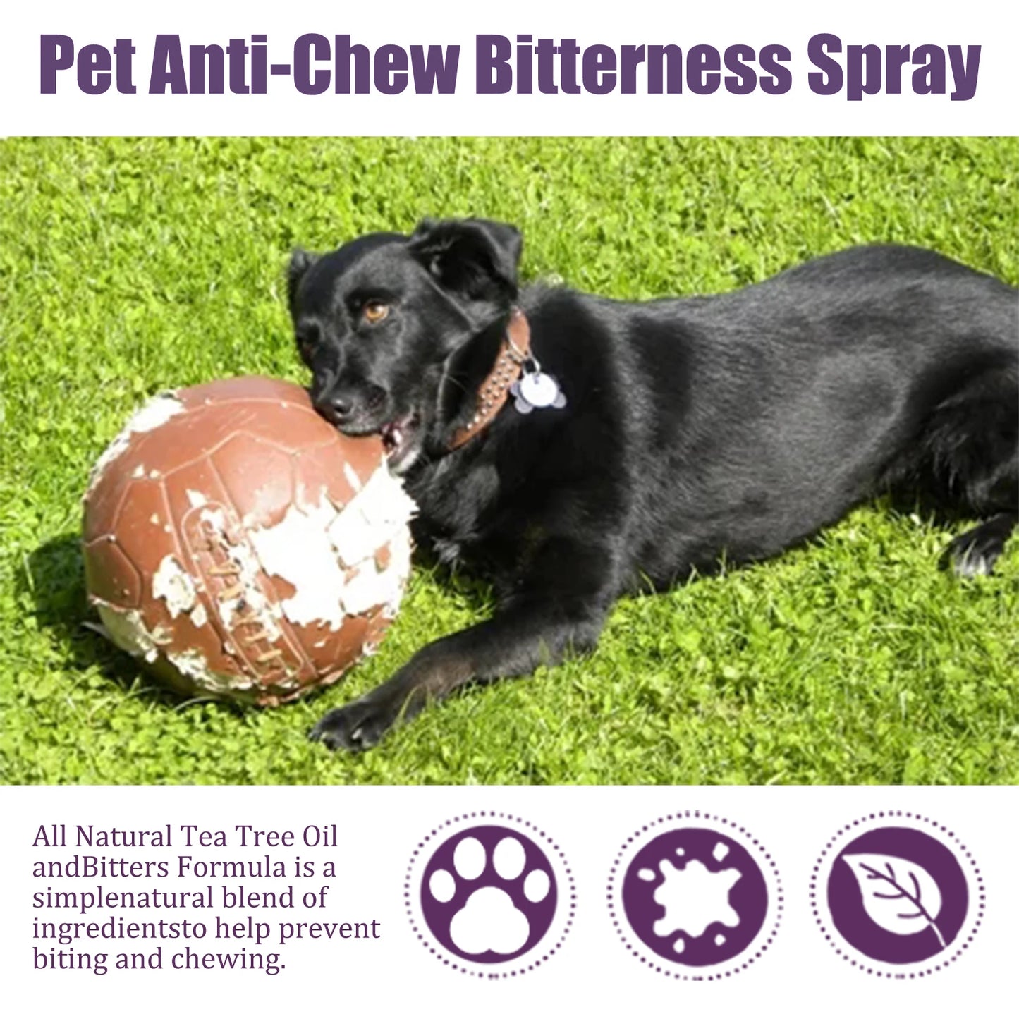 Pet No Chew or Scratch Spray