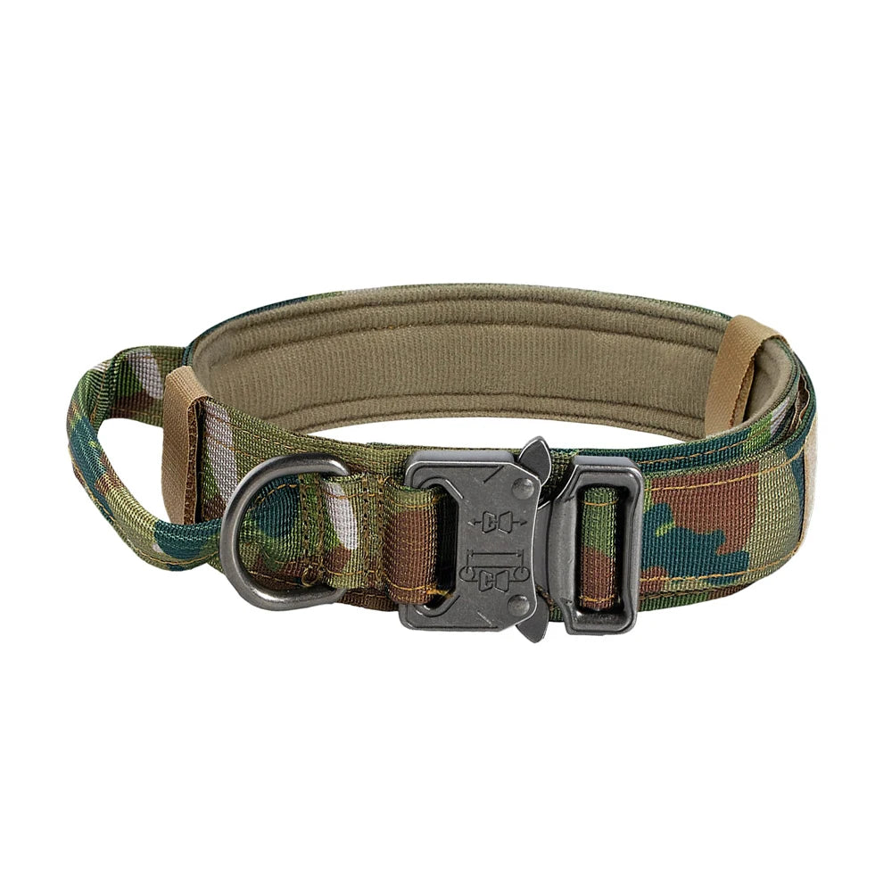 Dog Training Collar