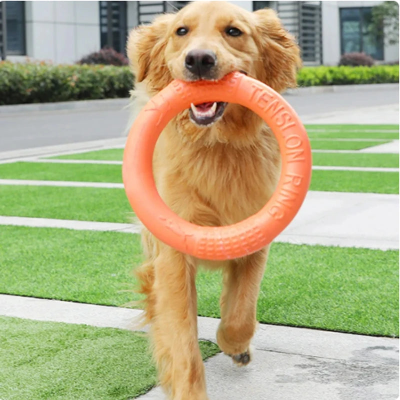 Orange Dog Pet Flying Disk Training Ring