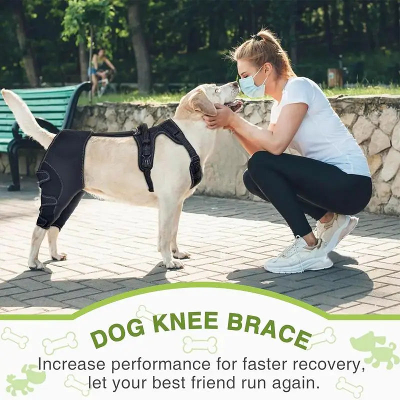 Dog Knee Brace Pet Orthopedic