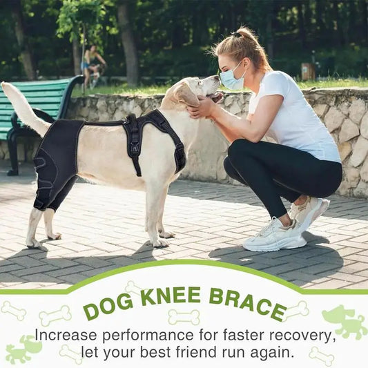 Dog Knee Brace Pet Orthopedic