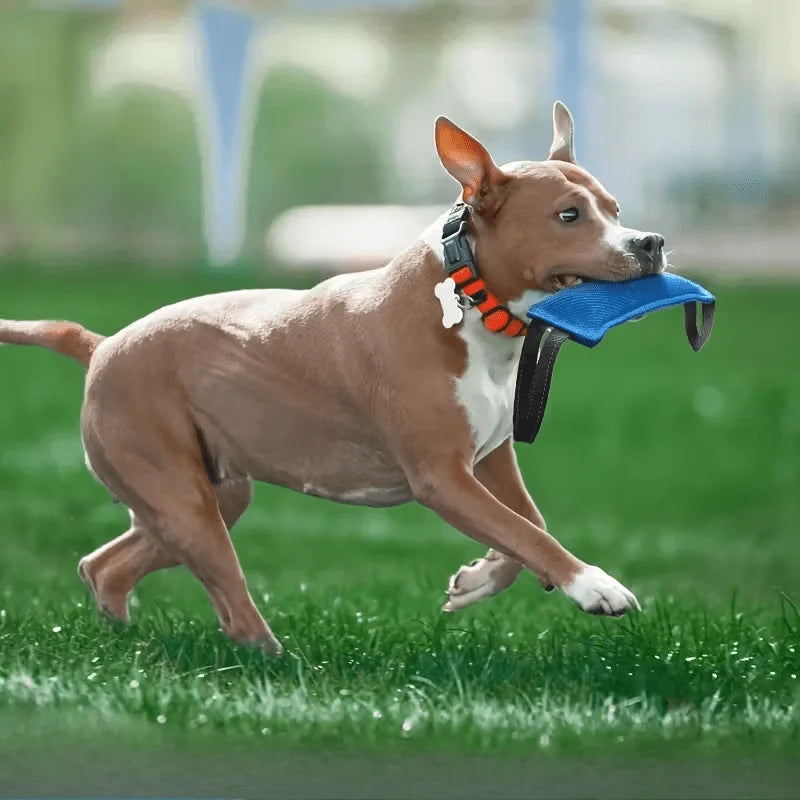 Dog Tug Toy, Equipped with 2pcs Soft And Sturdy Handles