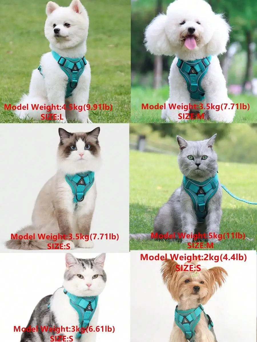 Pet Harness And Leash Set