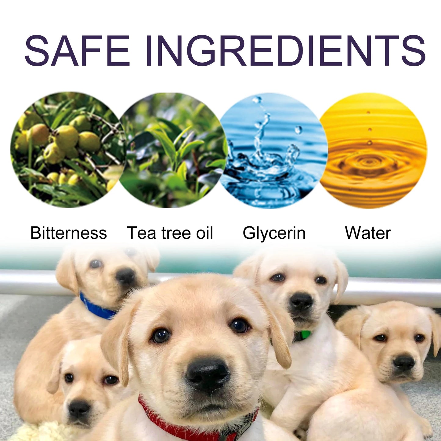 Pet No Chew or Scratch Spray