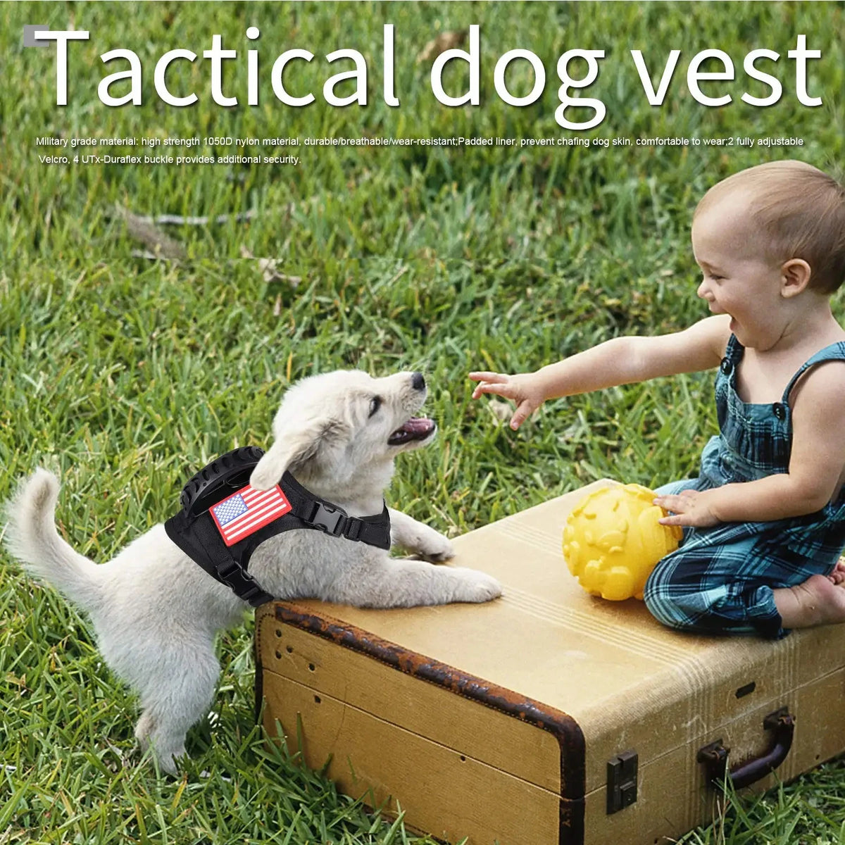 Tactical Puppy  Cats Harness Leash Set
