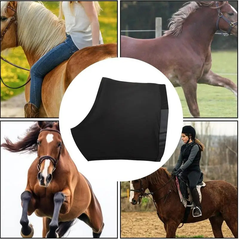 Horse Neck Cover