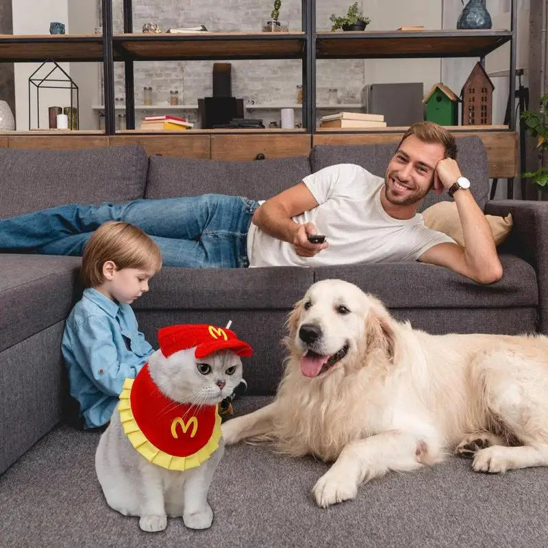 Cat Hat Knitted Beanie