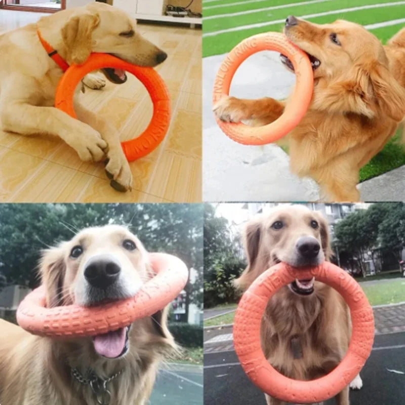 Orange Dog Pet Flying Disk Training Ring