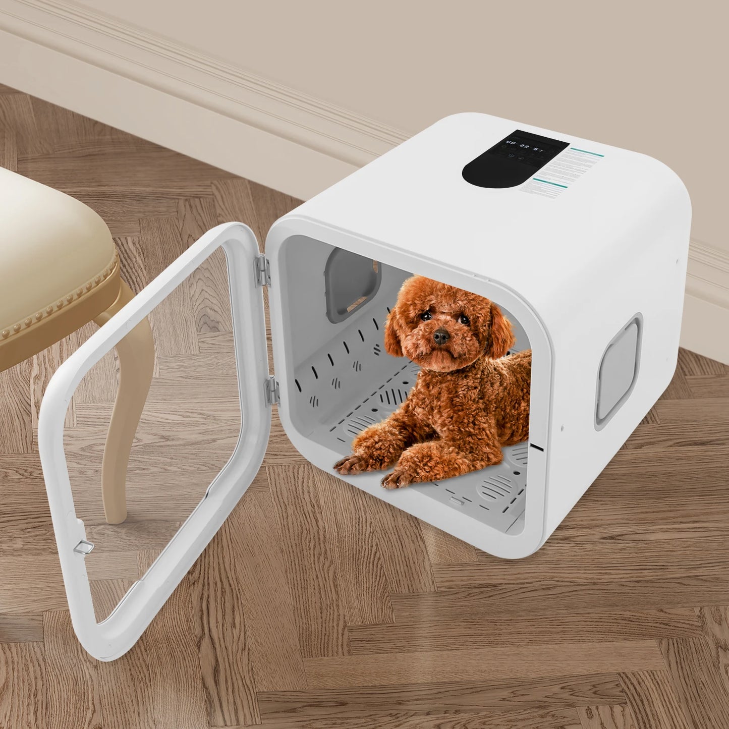 800W Pet Dryer Box