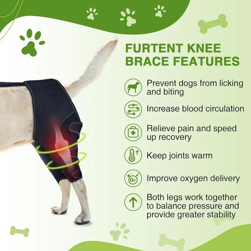 Dog Knee Brace Pet Orthopedic