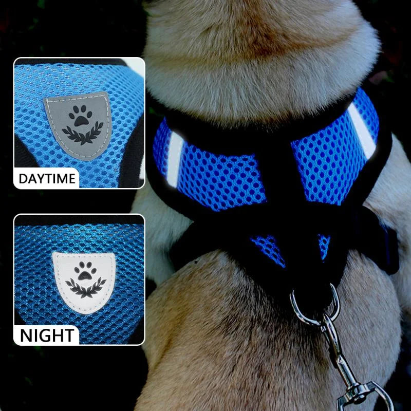 Cat Dog Pet Harness