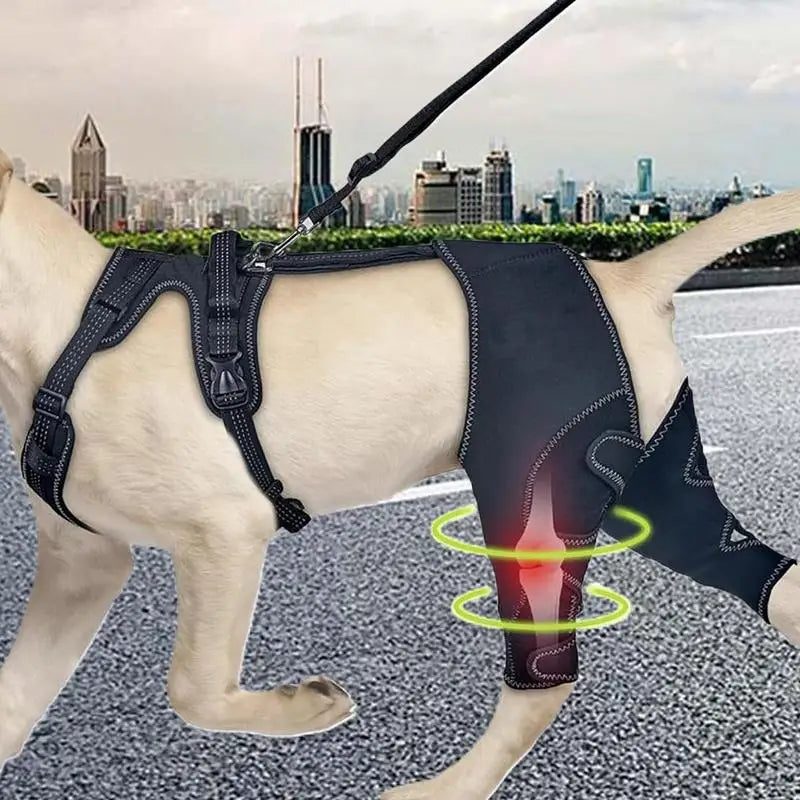 Dog Knee Brace Pet Orthopedic