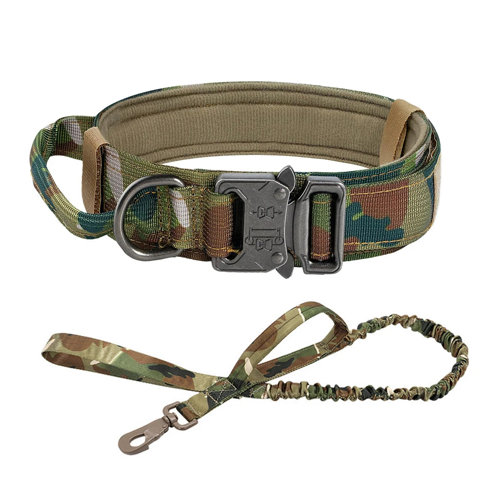 Dog Training Collar