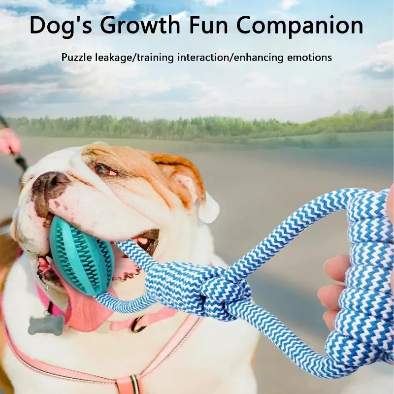 Interactive Dog Treat Ball 18x13cm,