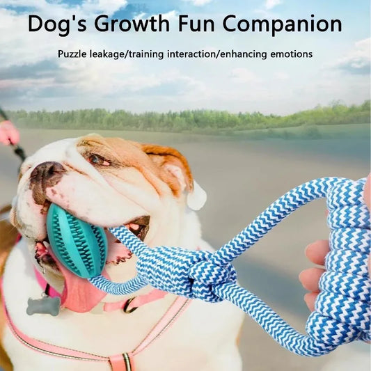 Interactive Dog Treat Ball 18x13cm,