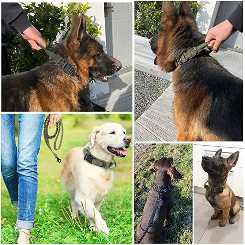 Tactical Dog Collar