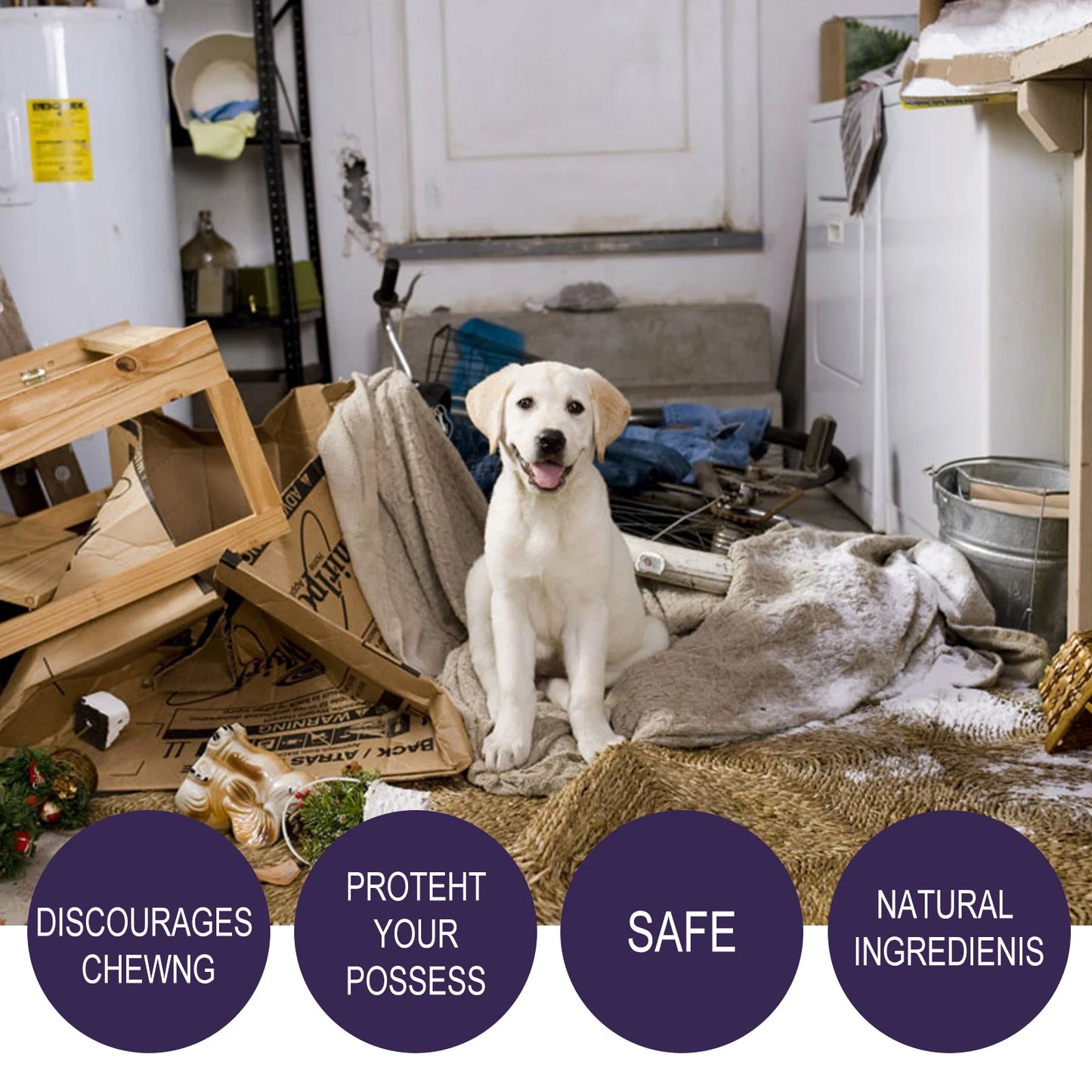 Pet No Chew or Scratch Spray