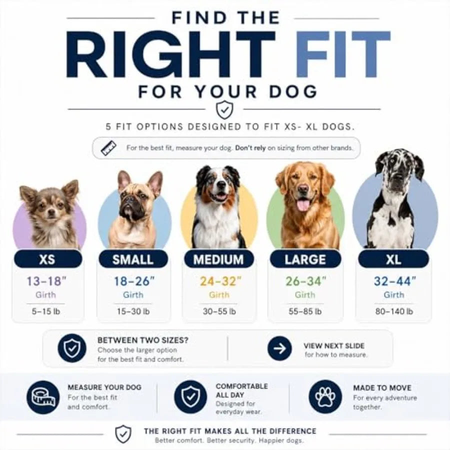 Essential Dog Harness, No-Pull Pet Vest with 3 Leash Clips