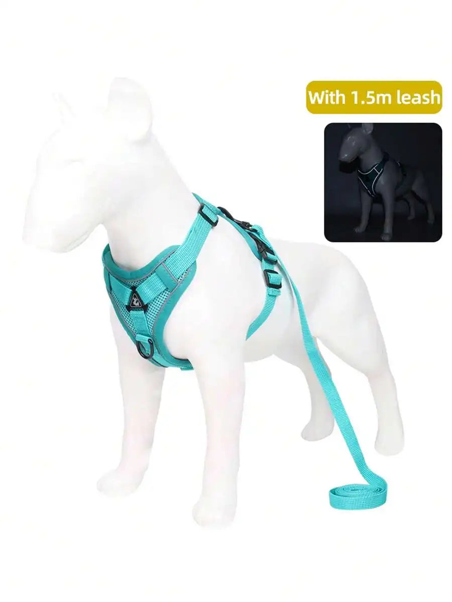 Pet Harness And Leash Set