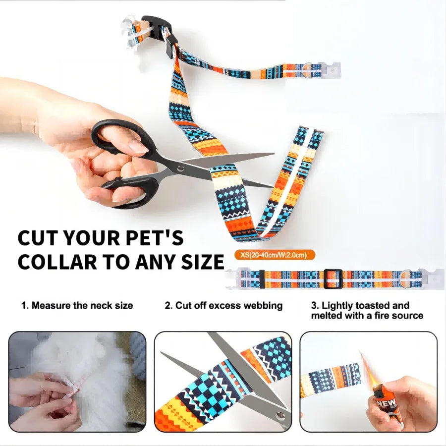 Light Up LED Dog Collars