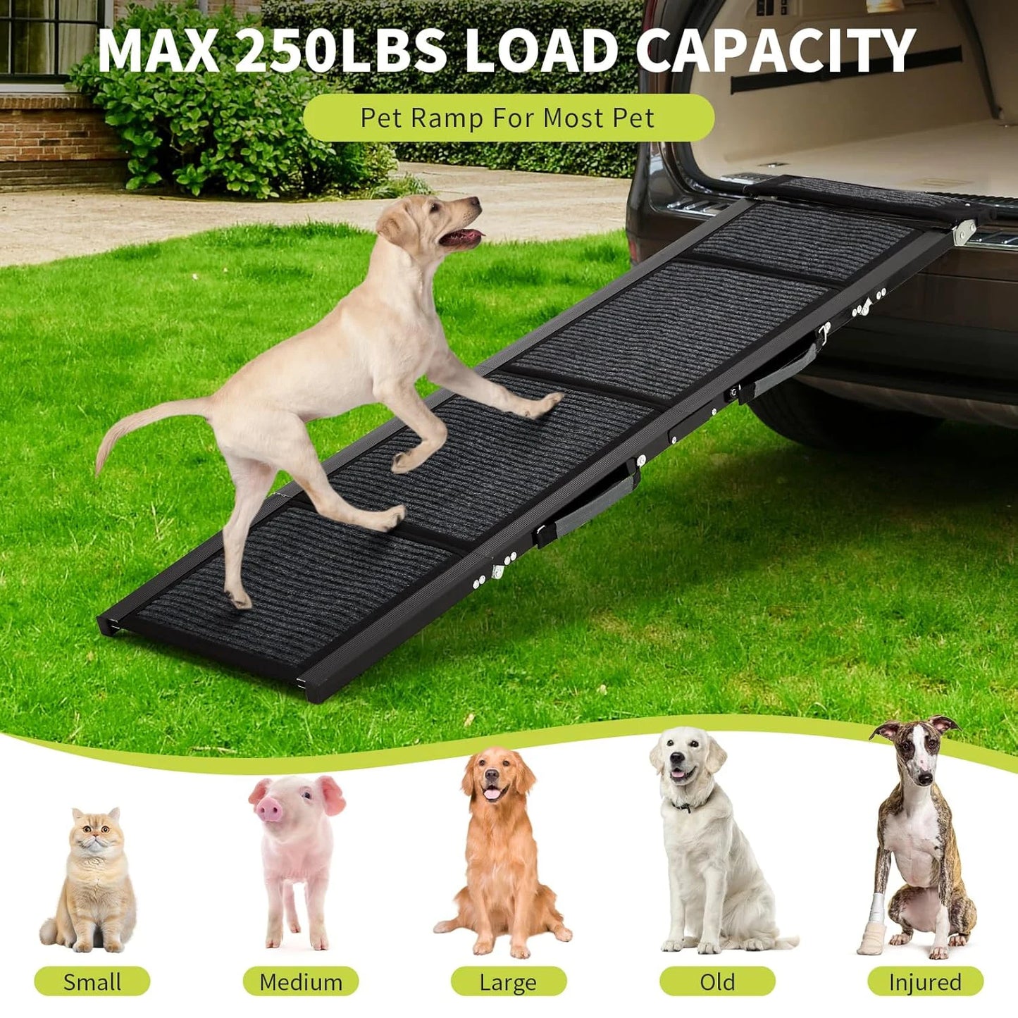 Dog Ramp For Cars