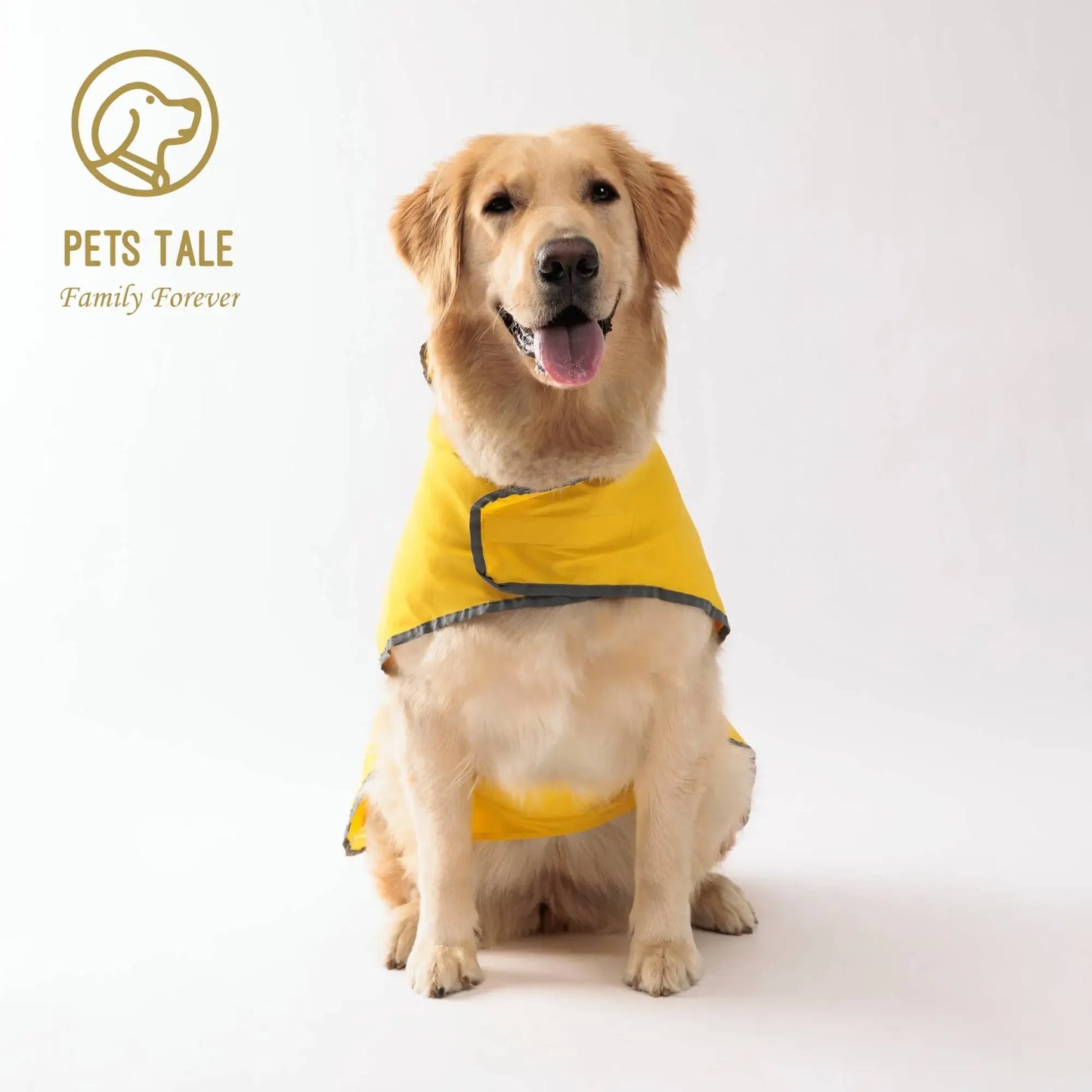 All Weather Dog Raincoat