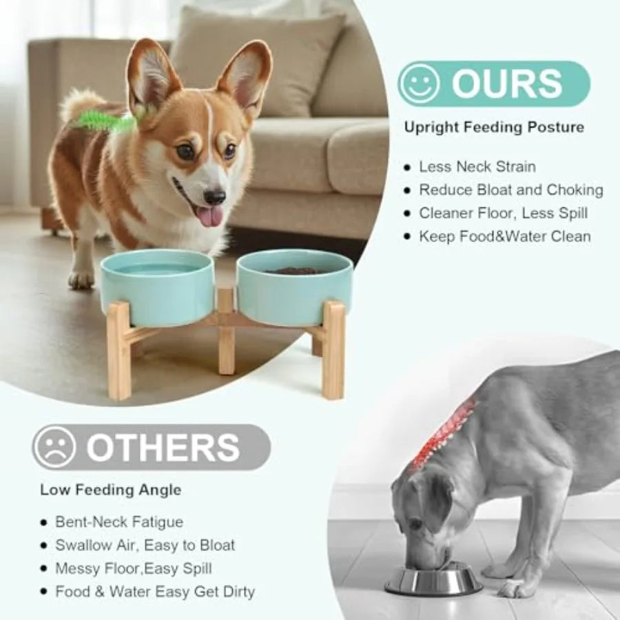 Elevated Ceramic Dog Bowls