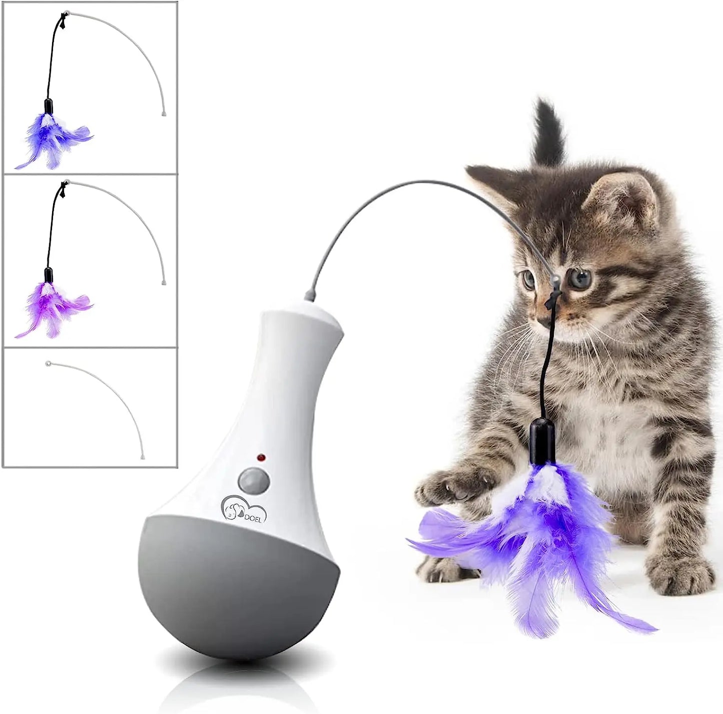 Funny Feather Kitten Teaser