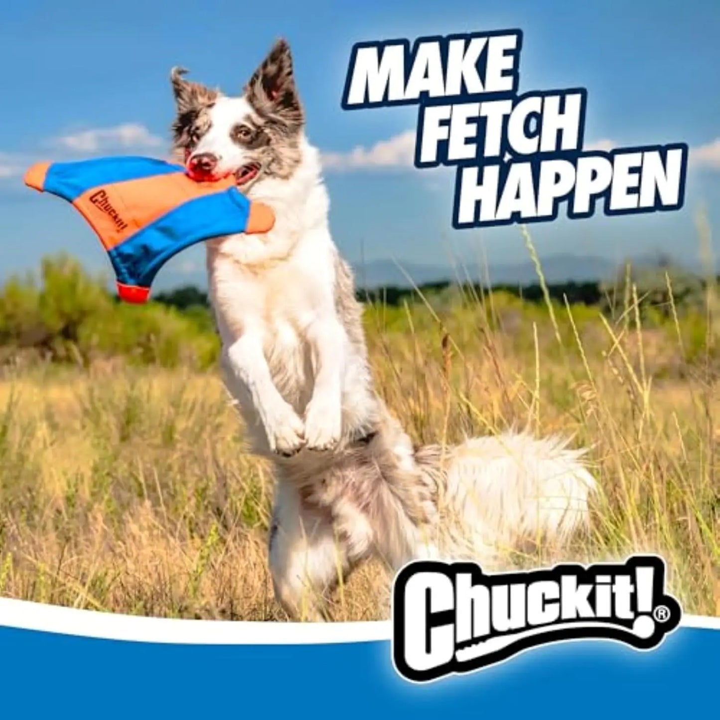 Water Floating Fetch Dog Toy