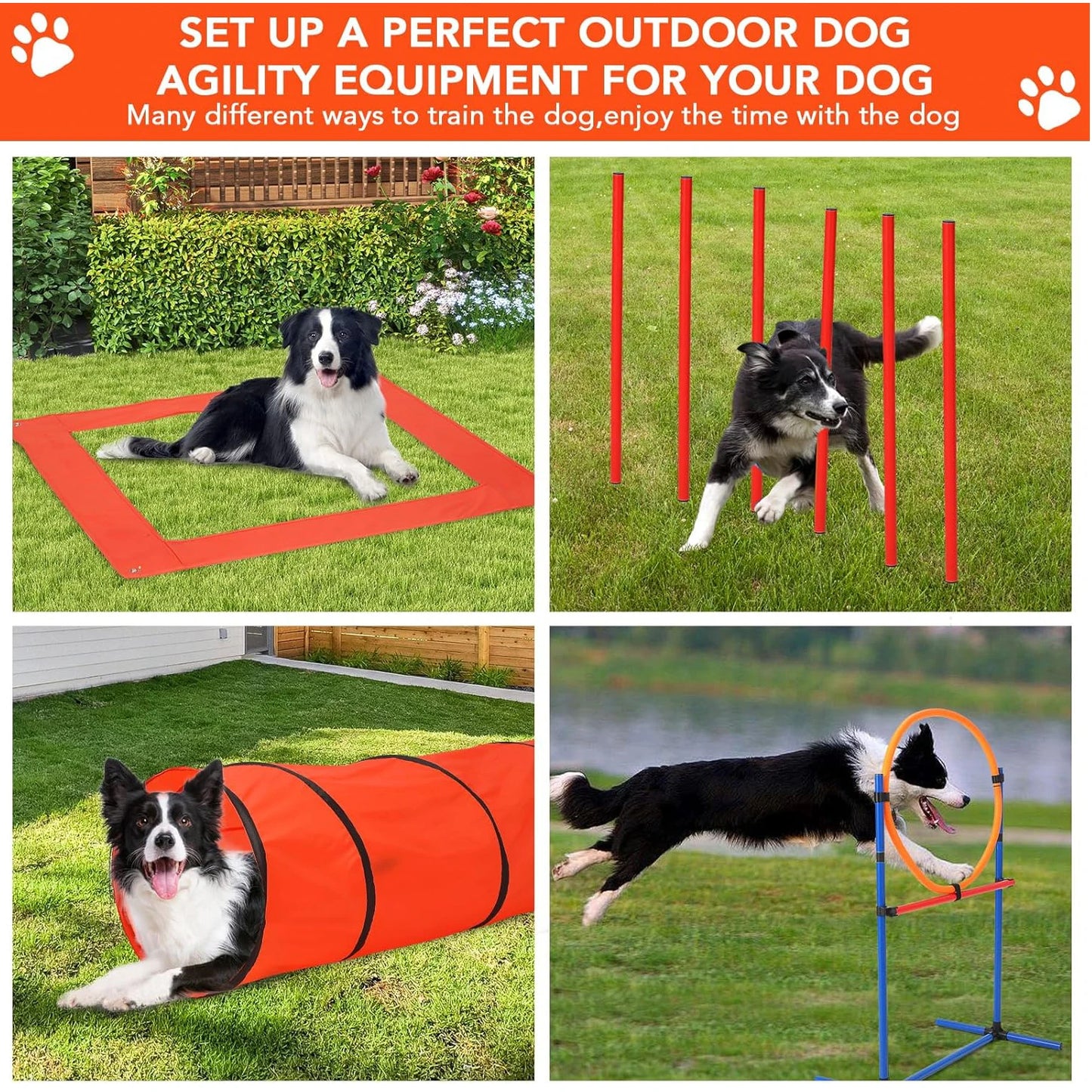 Dog Agility Training Obstacle Course Set