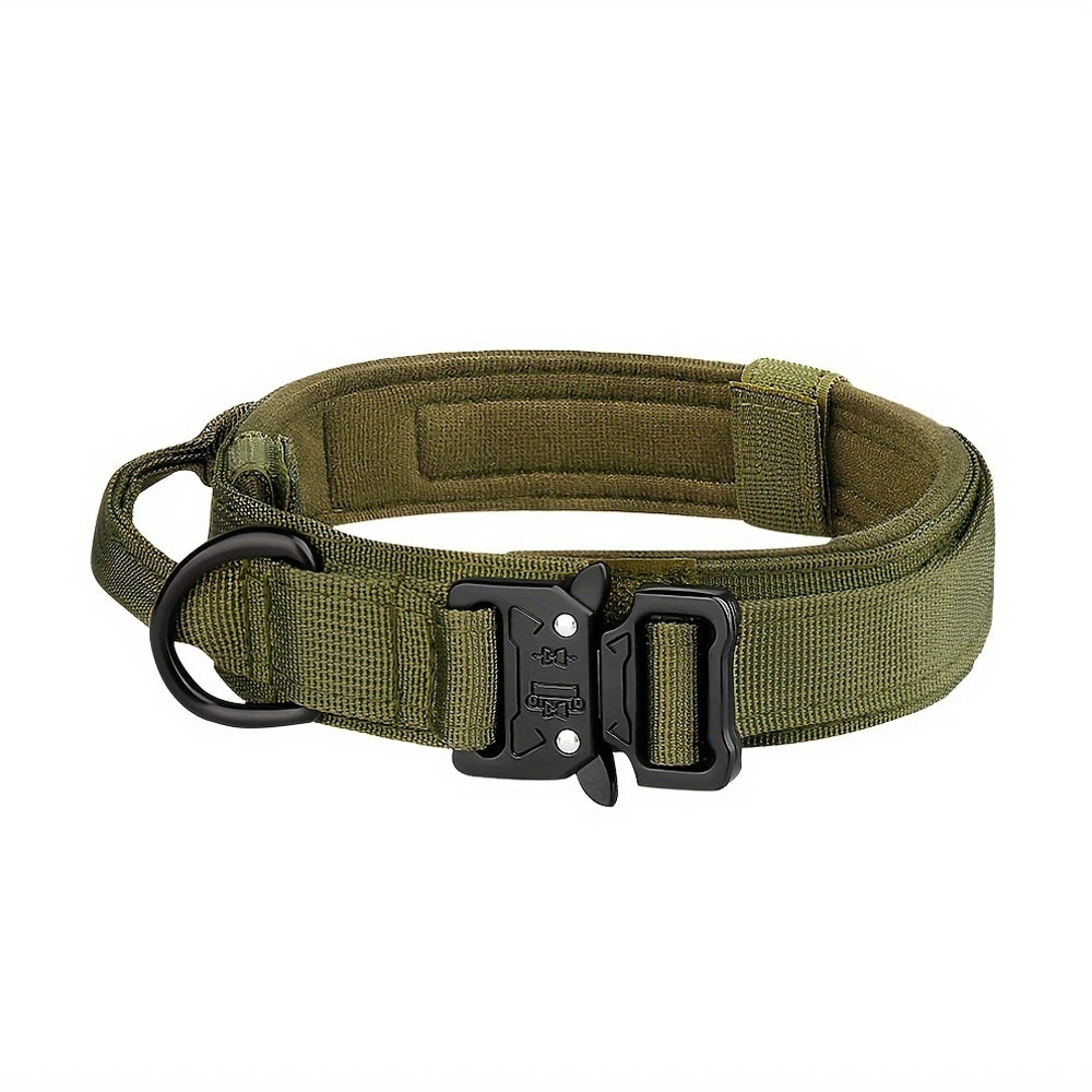 Dog Training Collar