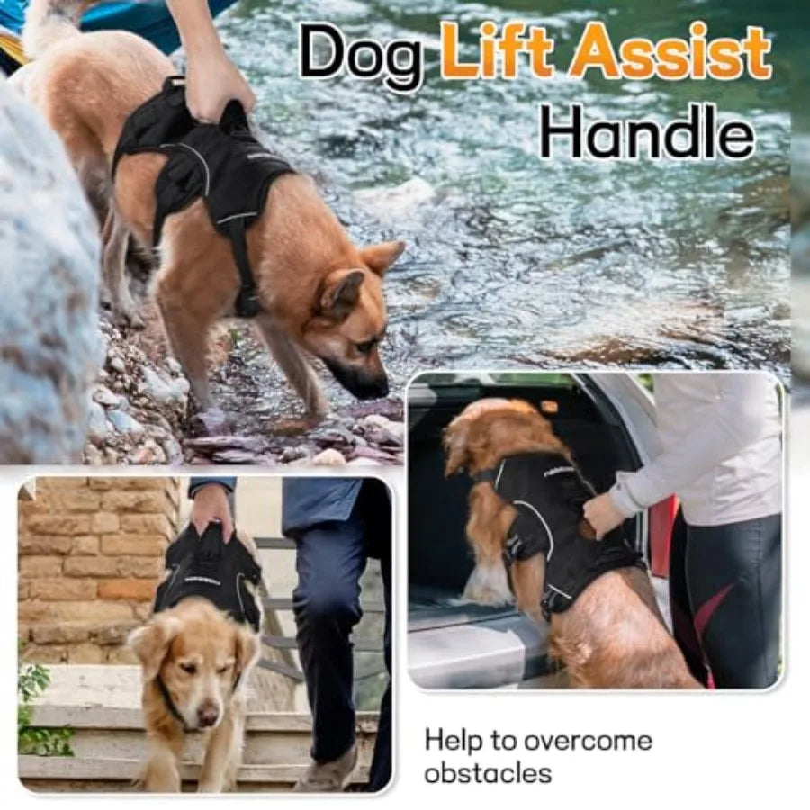 Escape Proof Harness for Large Dogs