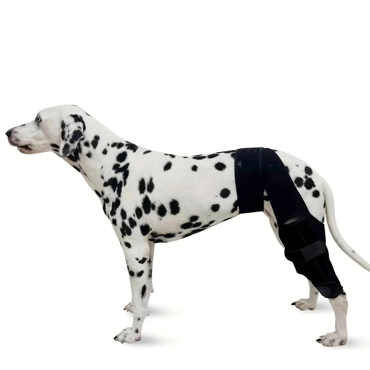 Adjustable Dog Knee & Leg Brace