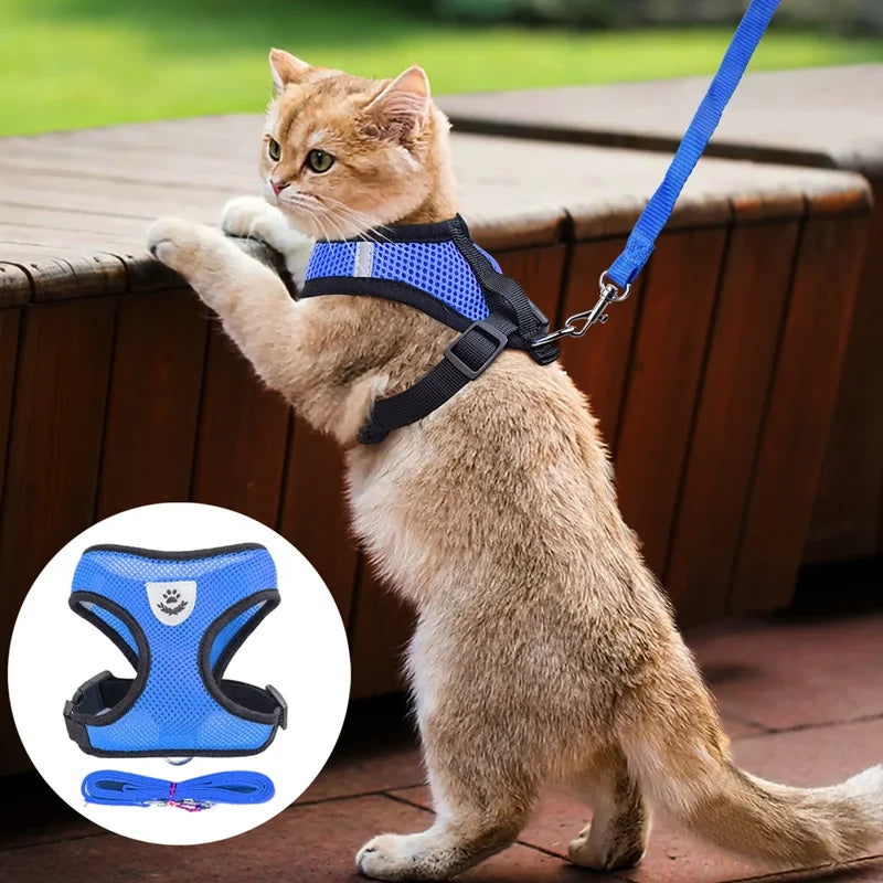 Cat Dog Pet Harness
