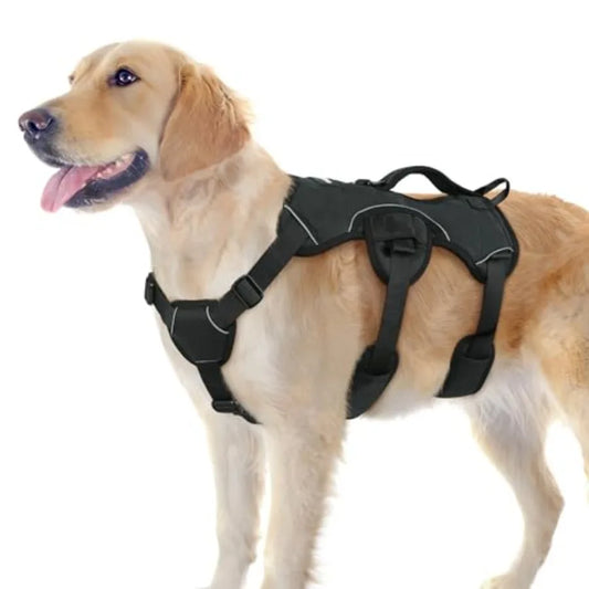 Escape Proof Harness for Large Dogs